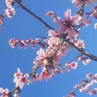 Flitzefritze 🇩🇪🇮🇱 🎗 🕎 (@flitzefritze) 's Twitter Profile Photo Flitzefritze 🇩🇪🇮🇱 🎗 🕎 (@flitzefritze) 's Twitter Profile Photo