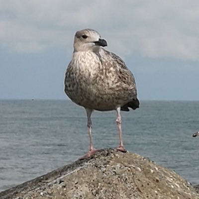 naarmijnbeeld's profile picture. Ik wil ook weleens mijn mening in het openbaar geven hoe ik over bepaalde zaken denk.