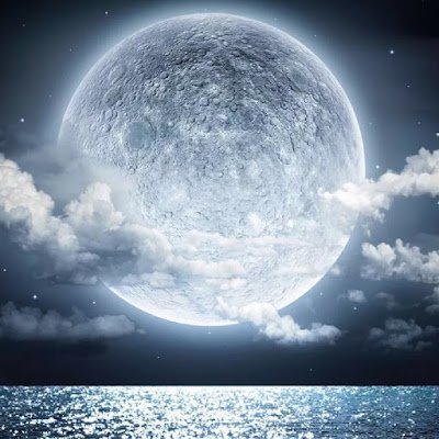 kerem000121's profile picture. 