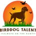 Birddog Talent (@birddog_talent) Twitter profile photo Birddog Talent (@birddog_talent) Twitter profile photo