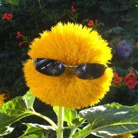 ilayda yalçın (@ilaydayalcin06) 's Twitter Profile