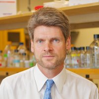 Martin Guthold (@gutholdm) 's Twitter Profile