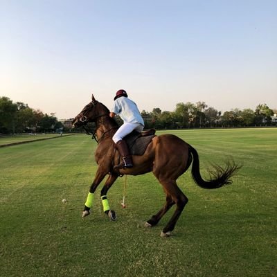Alinazz07's profile picture. I play Polo