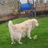 Cath (@kiwichick1268) 's Twitter Profile Photo