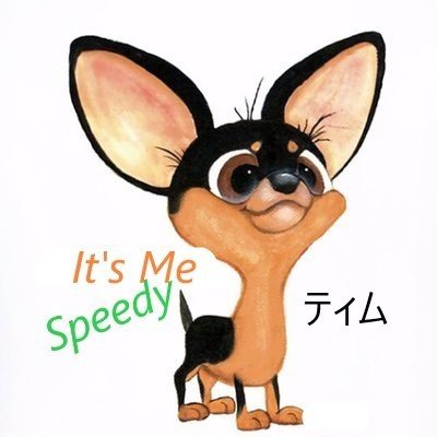 Musician' Bass Player. Music. Guitar Luthier. Electronics Tech. Motorcycle Rider Drone Pilot. Animals 'My Puppy Speedy' 'sincere' 'Cancer Survivor-10-11-2010'