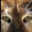 Lisa Winans - @motherofmany10 - Twitter