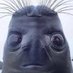 wessim38 (@wessim38) Twitter profile photo wessim38 (@wessim38) Twitter profile photo