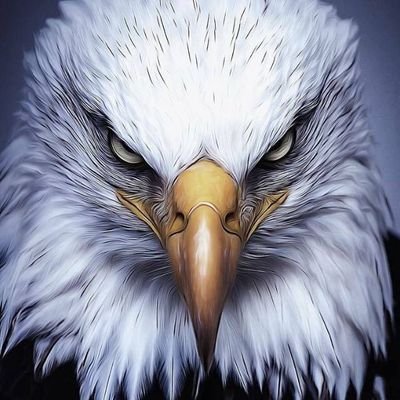 semsettinunler's profile picture. .