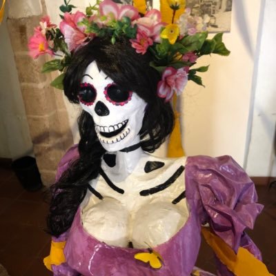 MEDICO CIRUJANO, ESPECIALISTA EN CIRUGIA PLASTICA, ESTETICA Y RECONSTRUCTIVA. HOSPITAL ANGELES DEL PEDREGAL