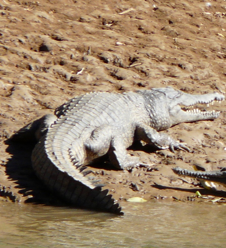 DCappendell's profile picture. Entrepreneur always looking for new ventures