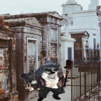 James Voodoo Fella (@80ef1b1416904ef) 's Twitter Profile