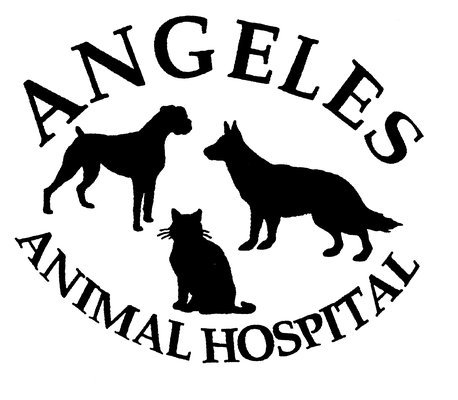 Angeles Animal  Hospital
We understand the special role your pet plays in your family and are dedicated to becoming your partner in your pet's health care.