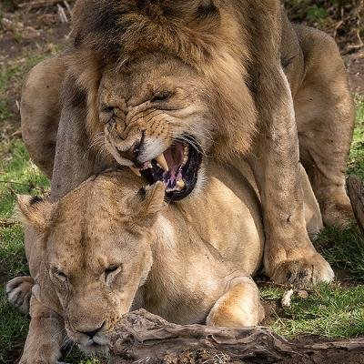 たくさんの女性に種付したい
ママ活も受け付けてます。
妊娠させることにこだわったツイートをします。男に興味なし。メスだけにこだわってます。