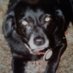 Broderick McLaughlin (@broderickm59627) Twitter profile photo Broderick McLaughlin (@broderickm59627) Twitter profile photo