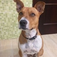 JD (@90jd_g) 's Twitter Profile