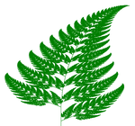 Fern Financial,a hedge fund, exerts itself to maximize investor returns and outperform large cap indices. Trading equities and options using analytical models.