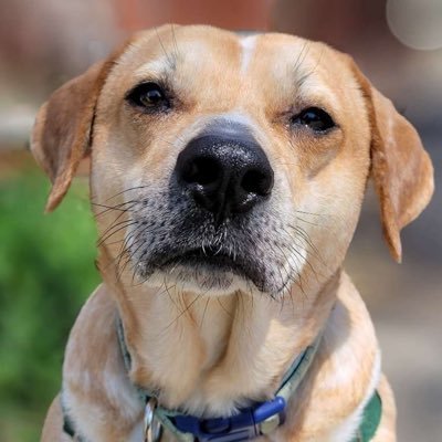 lm12308's profile picture. 