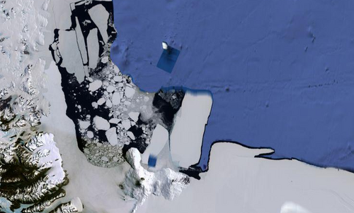 proto_hive_mind's profile picture. just dipping my toes in the twittersphere