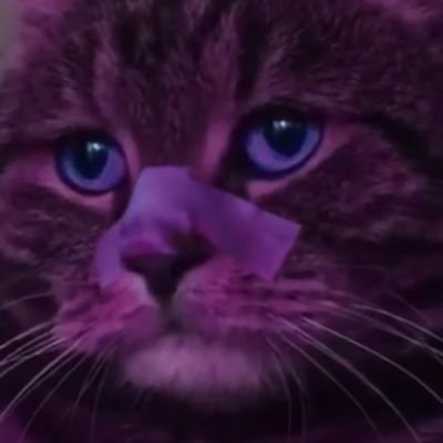 lifram__'s profile picture. You're getting too comfortable again. Remember what happened last time.