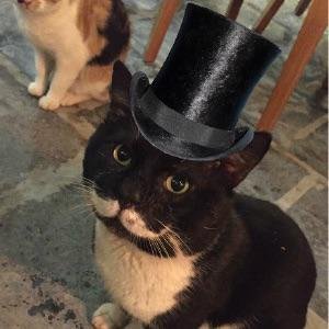 ContraPregunta's profile picture. 