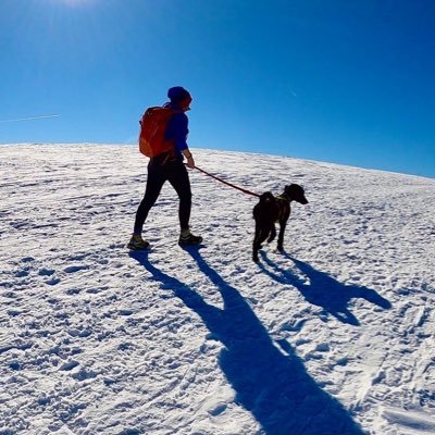 JudithHartl's profile picture. Head of DW Business Science Environment 🐙🐝🐘🚀🌍🔭🌔🔬 hier gibts auch persönlichen Schnickschnack 😉