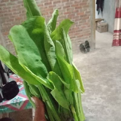 4everFimar27241's profile picture. 