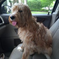 Sari McCoy (@mccoysari) 's Twitter Profile Photo