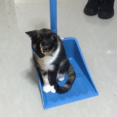 PeterSMorrow's profile picture. 