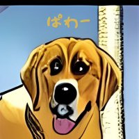 ぱわー（本物）(@power_yourdog) 's Twitter Profile Photo