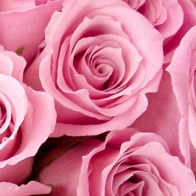 burnoutracoon's profile picture. wouldnt you like to know, weatherboy