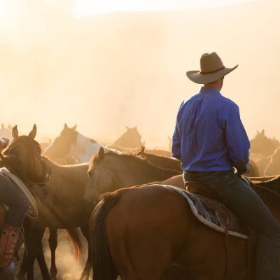 elsalvadorchina's profile picture. 