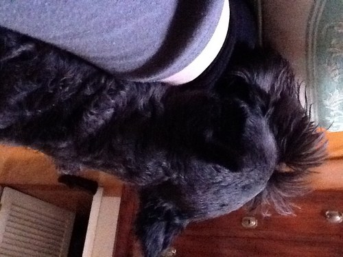 maromerom's profile picture. 