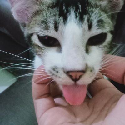 Desinuryanti77's profile picture. 