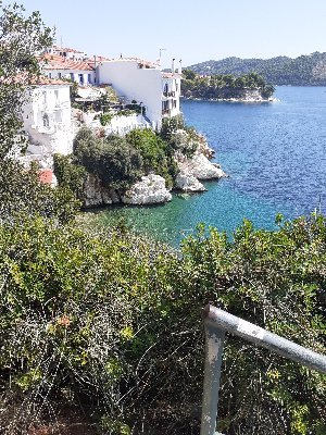 Yperifanos66822's profile picture. Οταν άκουσα την Μποφιλιου να λέει τσακίστε τον φασισμό,  αποφάσισα να γίνω ο φασισμός που δεν τσακιζεται ποτέ.