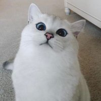 SoSoo (โซซู) (@chichuntf) 's Twitter Profile