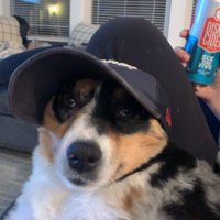 Luke Dawson (@luke2dawson) Twitter profile photo