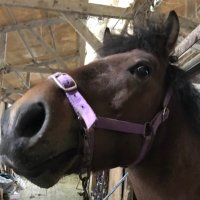 ビィ｜7億稼ぎコンテンツ販売に襲来 (@bee_net39) Twitter profile photo