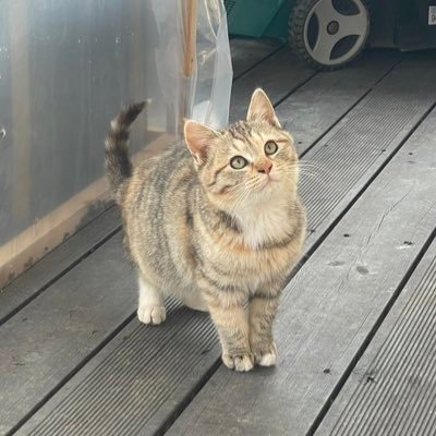 ousousaa's profile picture. 