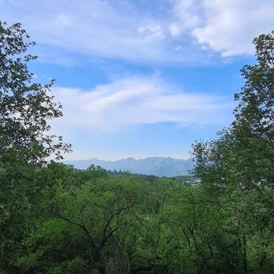 jorghinio1975's profile picture. Capitalism is King. Commercial Real Estate Investor