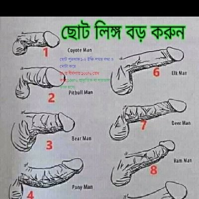 MDJahan00542492's profile picture. 