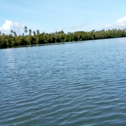 perves_seleman's profile picture. 