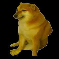 Cheemsmame67613's profile picture. 