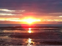 dpwelborn's profile picture. 