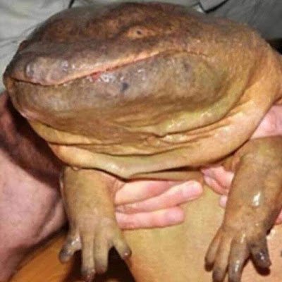 ErrorVtuberArt's profile picture. 
