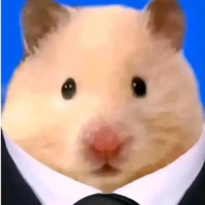 1922663739T's profile picture. 