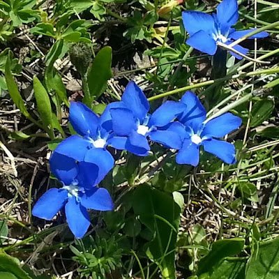 MicheleDenis41's profile picture. 