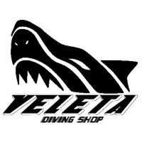 PADI Diving Center ベレタダイビングショップ(@VLT33350) 's Twitter Profile Photo