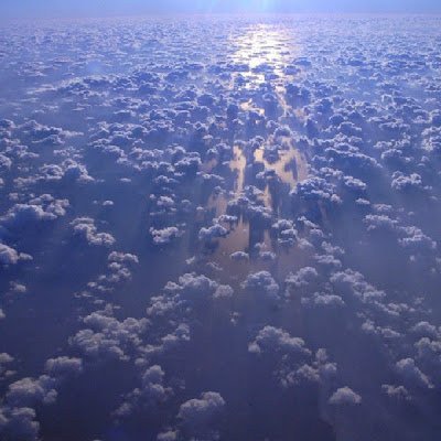 michaelcaf69417's profile picture. 