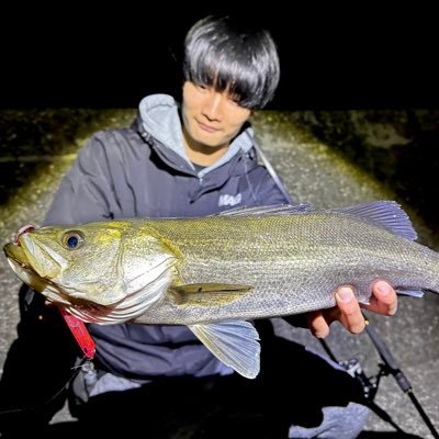 大阪湾でただひたすらに魚が釣りたい21歳