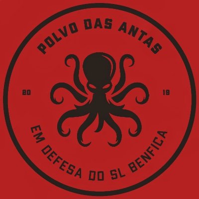 Molusco, Cephalopoda e Octopoda. Espécime encontrado a norte de Portugal, juntamente com os restantes cefalópodes.